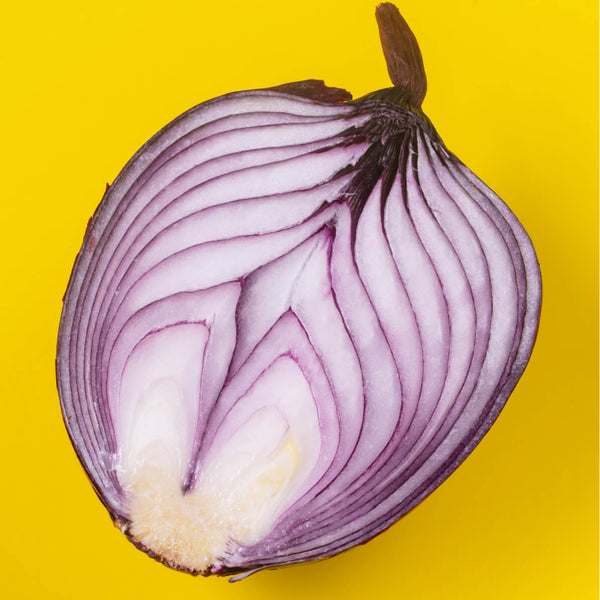 Allium Cepa (Onion)