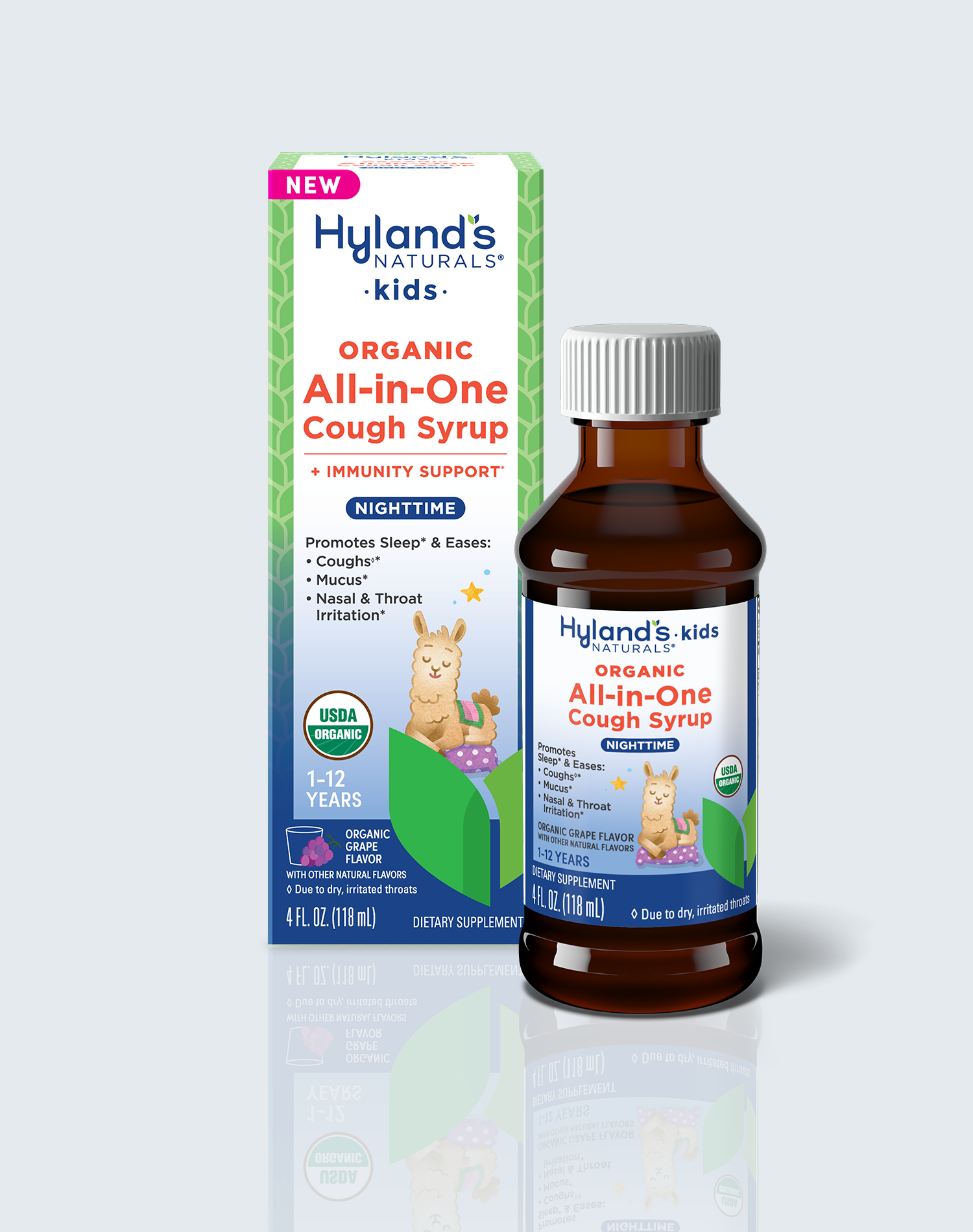 Organic Kids All-in-One Cough Syrup Nighttime – Hyland's