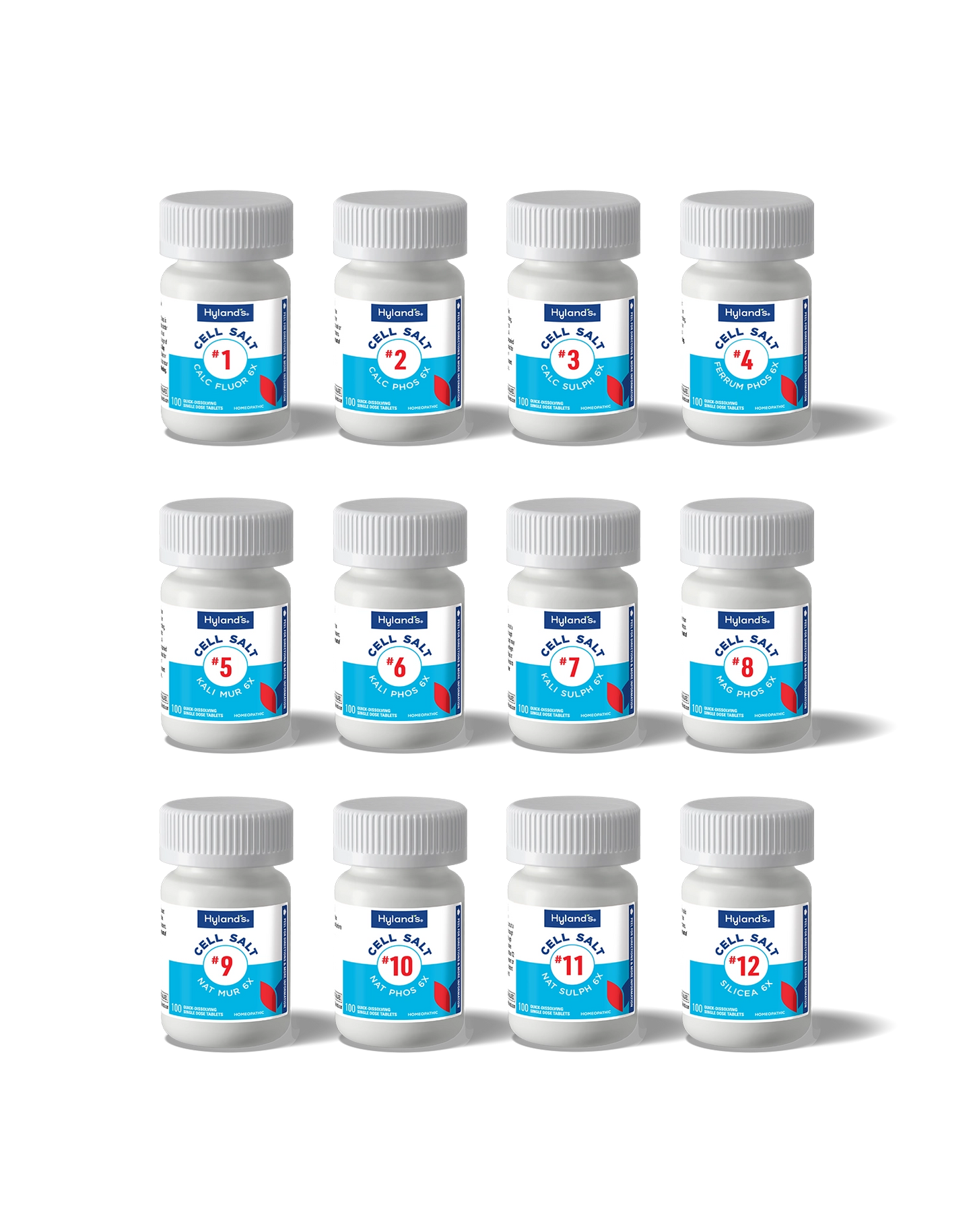 Cell Salts Bundle