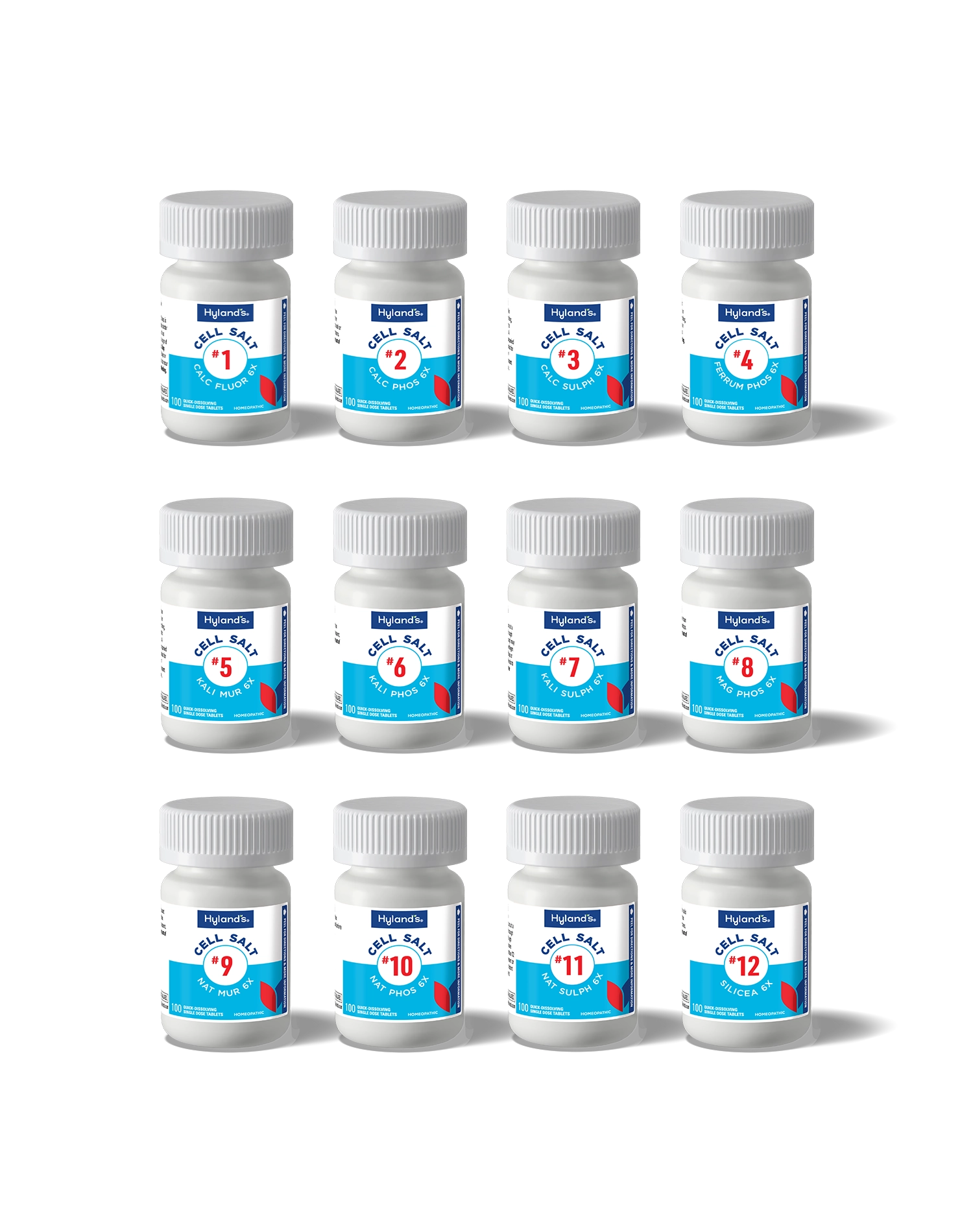 Cell Salts Bundle